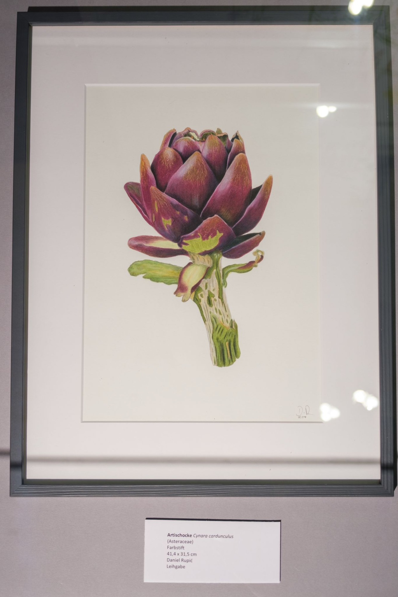 Gründungs-Ausstellung Impression