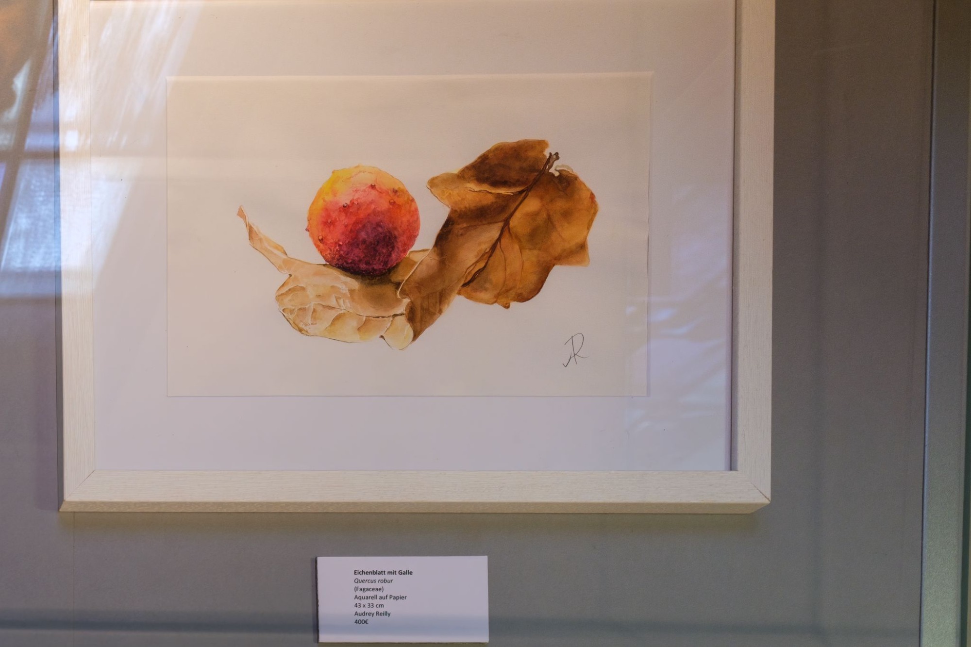 Gründungs-Ausstellung Impression
