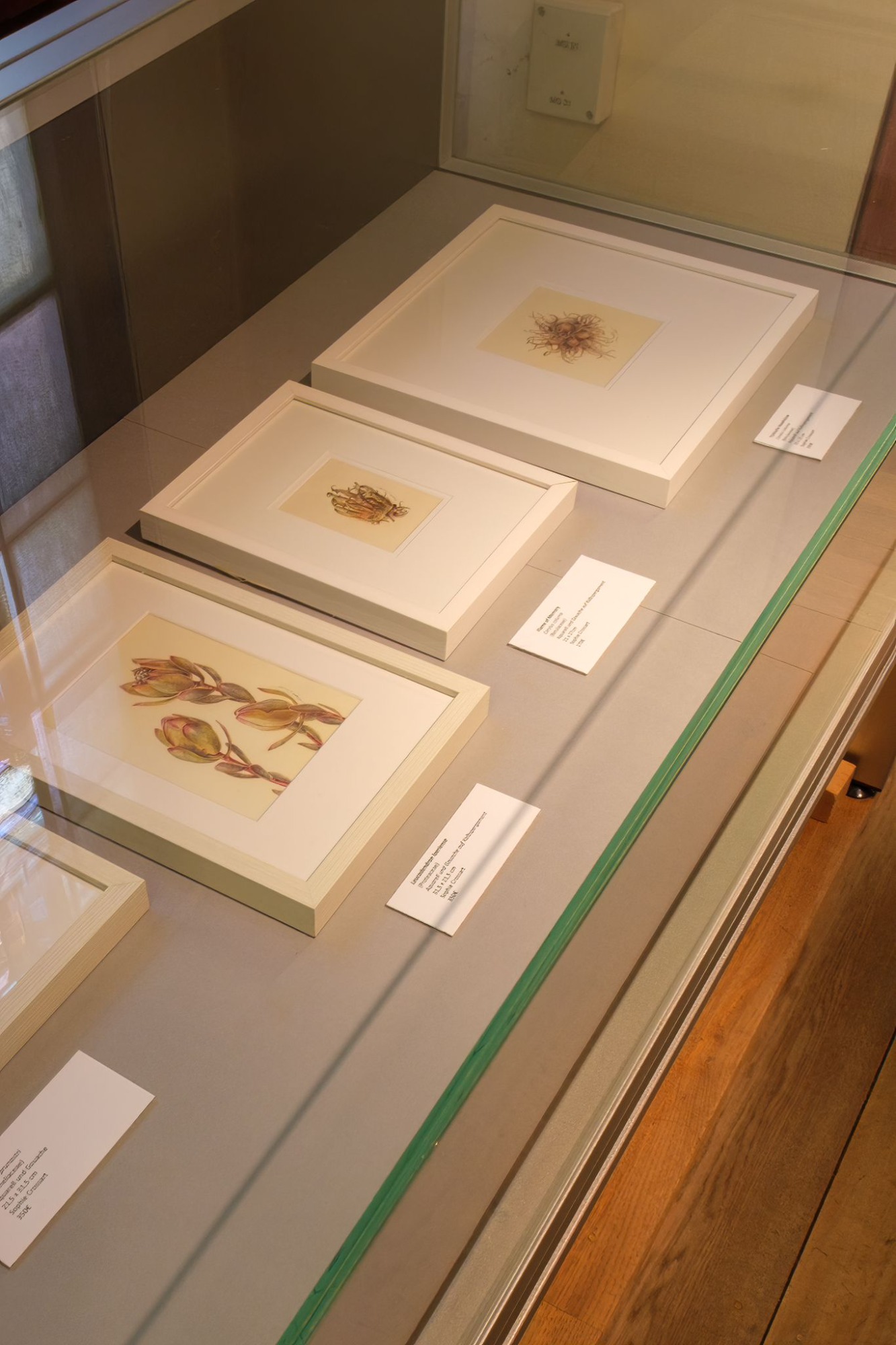 Gründungs-Ausstellung Impression
