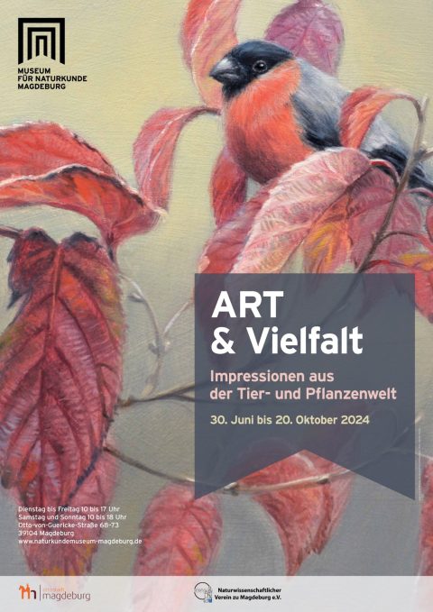 ART & Vielfalt – Impressionen aus der Tier- und Pflanzenwelt