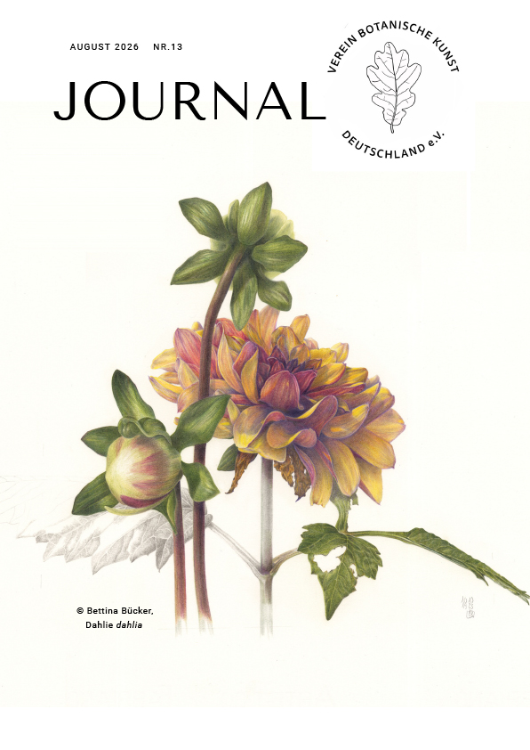 VBKD Journal Nr. 13, August 2026