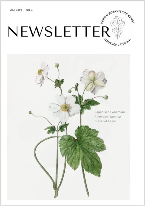 VBKD Newsletter Mai 2024